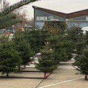 Christbaumverkauf am Gro&szlig;markt Wien