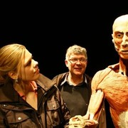 Nur noch bis 22. M&auml;rz: K&ouml;rperwelten in der Wiener Stadthalle