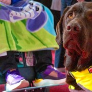 Musiktheater ist f&uuml;r alle da! VBW Kulturvermittlungsangebote im Musical setzen wichtige Impulse f&uuml;r die Teilhabe an kulturellem Leben